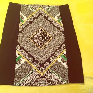 Multi colored skirt NWOT
